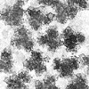 texture20.jpg (8926 bytes)