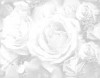 texture21.jpg (3237 bytes)